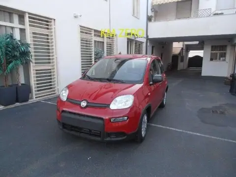 Annonce FIAT PANDA Hybride 2024 d'occasion 