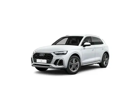 Used AUDI Q5 Diesel 2023 Ad 