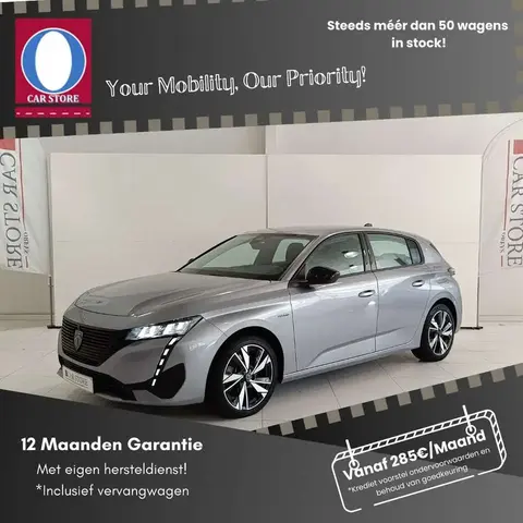 Used PEUGEOT 308 Hybrid 2022 Ad Belgium