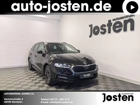 Used SKODA OCTAVIA Petrol 2024 Ad 