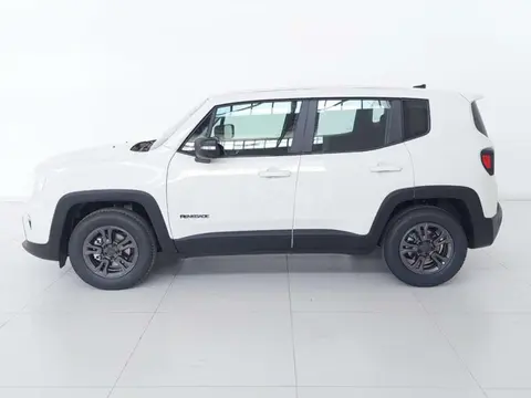 Annonce JEEP RENEGADE Essence 2023 d'occasion 