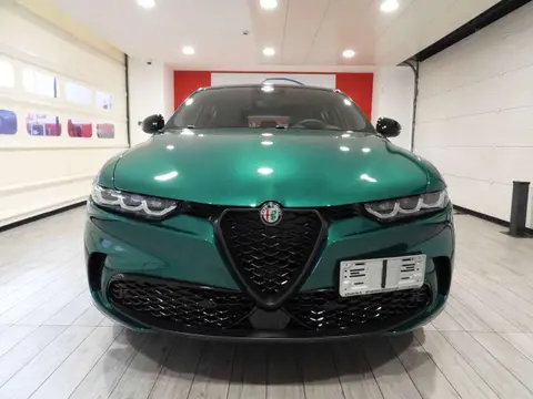 Annonce ALFA ROMEO TONALE Diesel 2024 d'occasion 