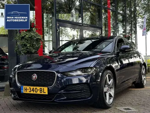 Annonce JAGUAR XE Essence 2020 d'occasion 