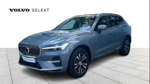 Annonce VOLVO XC60 Hybride 2023 d'occasion Belgique