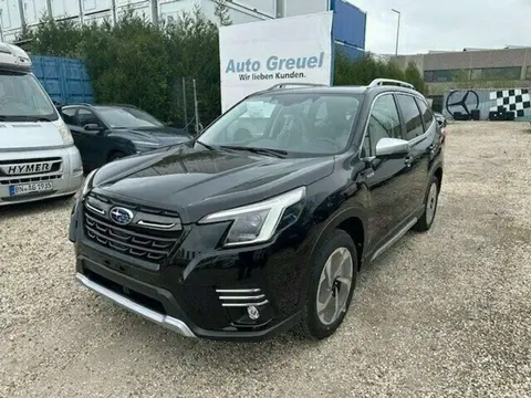 Annonce SUBARU FORESTER Essence 2024 d'occasion 