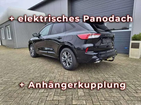 Annonce FORD KUGA Hybride 2024 d'occasion 