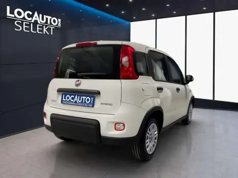 Used FIAT PANDA Petrol 2023 Ad 