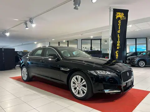 Used JAGUAR XF Diesel 2018 Ad 