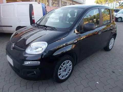 Used FIAT PANDA Petrol 2015 Ad 