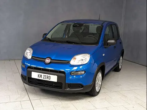 Used FIAT PANDA Hybrid 2024 Ad Italy