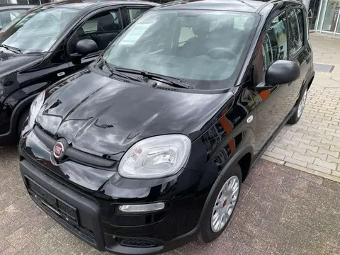 Annonce FIAT PANDA Essence 2024 d'occasion 