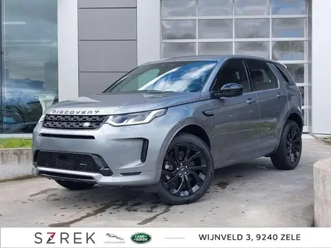 Used LAND ROVER DISCOVERY Hybrid 2024 Ad 