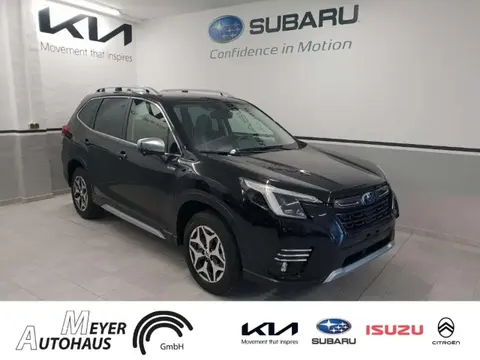 Used SUBARU FORESTER Petrol 2024 Ad 