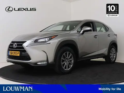 Used LEXUS NX Hybrid 2017 Ad 