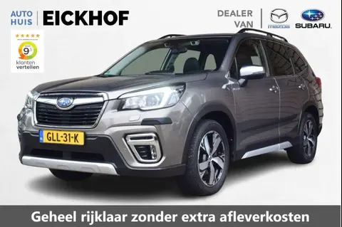 Used SUBARU FORESTER Hybrid 2020 Ad 