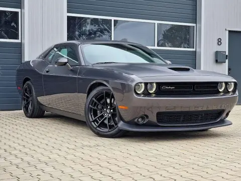 Used DODGE CHALLENGER Petrol 2022 Ad 