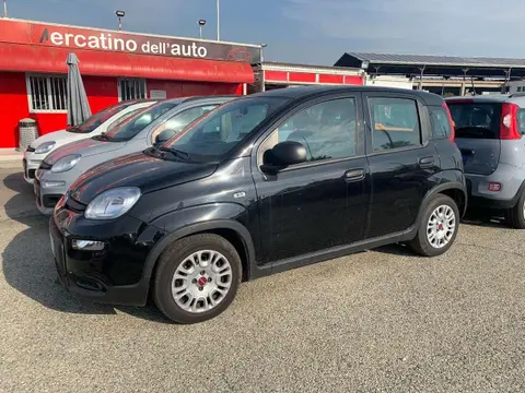 Annonce FIAT PANDA Hybride 2023 d'occasion Italie