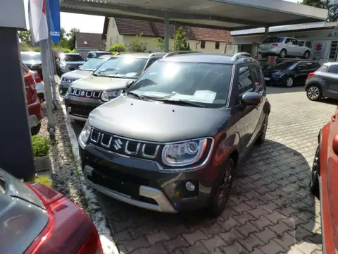 Used SUZUKI IGNIS Petrol 2024 Ad 