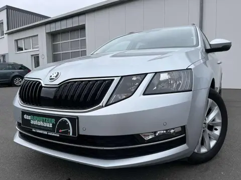 Annonce SKODA OCTAVIA Diesel 2019 d'occasion 