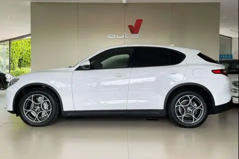 Used ALFA ROMEO STELVIO Diesel 2022 Ad 