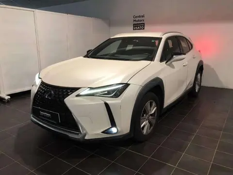 Used LEXUS UX Hybrid 2021 Ad 