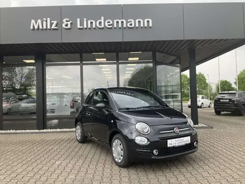 Used FIAT 500 Petrol 2023 Ad 