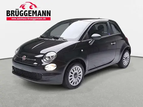 Used FIAT 500 Petrol 2024 Ad 