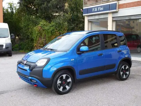 Used FIAT PANDA Hybrid 2024 Ad 