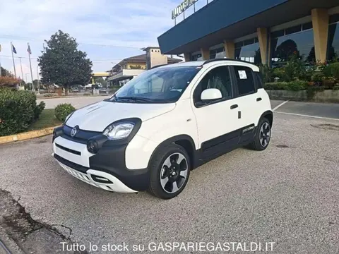 Annonce FIAT PANDA Hybride 2024 d'occasion 