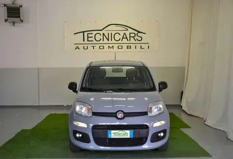 Used FIAT PANDA Petrol 2020 Ad 