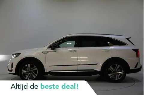 Used KIA SORENTO Hybrid 2021 Ad 