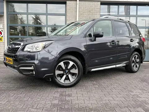 Used SUBARU FORESTER Petrol 2017 Ad 