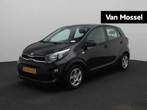 Annonce KIA PICANTO Essence 2019 d'occasion 