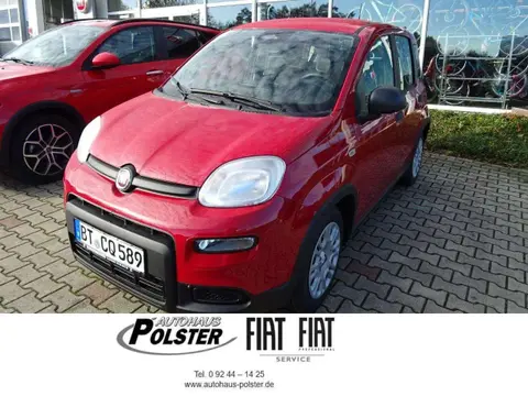 Annonce FIAT PANDA Essence 2024 d'occasion 