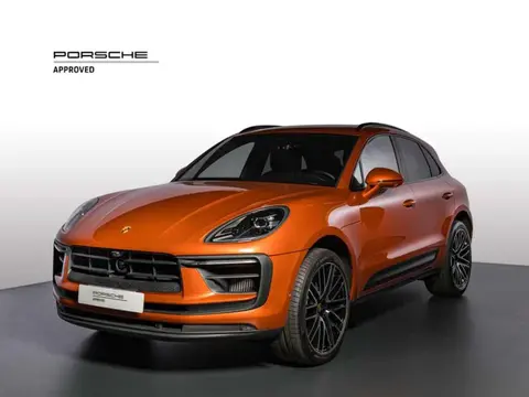 Used PORSCHE MACAN Petrol 2023 Ad 