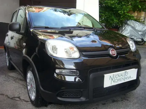 Used FIAT PANDA Hybrid 2024 Ad 