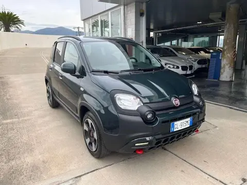 Used FIAT PANDA Hybrid 2023 Ad 