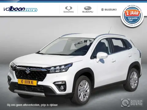 Used SUZUKI S-CROSS Hybrid 2022 Ad 