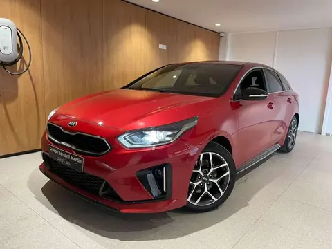 Annonce KIA PROCEED Essence 2019 d'occasion 