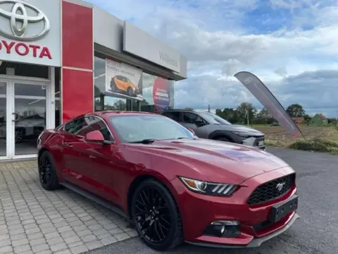 Used FORD MUSTANG Petrol 2016 Ad 