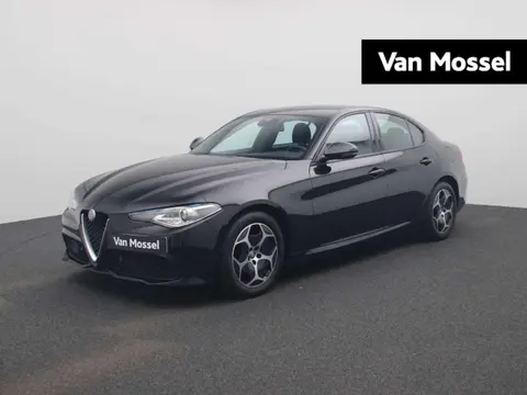 Used ALFA ROMEO GIULIA Diesel 2022 Ad 