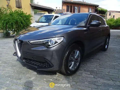 Used ALFA ROMEO STELVIO Petrol 2021 Ad 