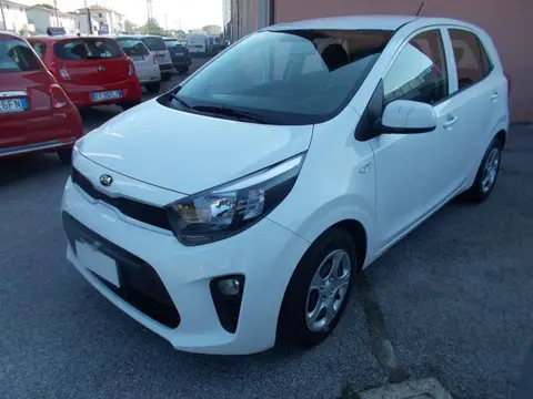 Used KIA PICANTO Petrol 2019 Ad 