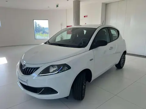 Used LANCIA YPSILON Hybrid 2024 Ad 