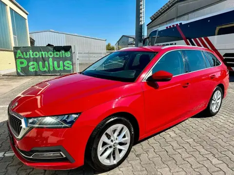 Annonce SKODA OCTAVIA Diesel 2021 d'occasion 