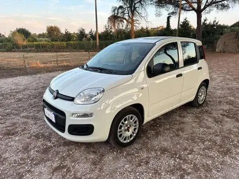 Annonce FIAT PANDA Hybride 2022 d'occasion 