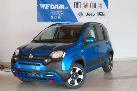 Annonce FIAT PANDA Essence 2024 d'occasion 