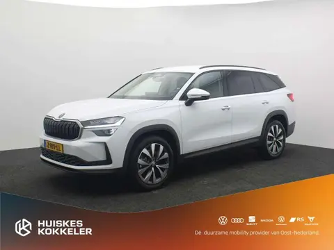 Used SKODA KODIAQ Petrol 2024 Ad 