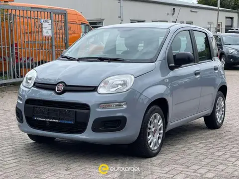 Used FIAT PANDA Petrol 2019 Ad 