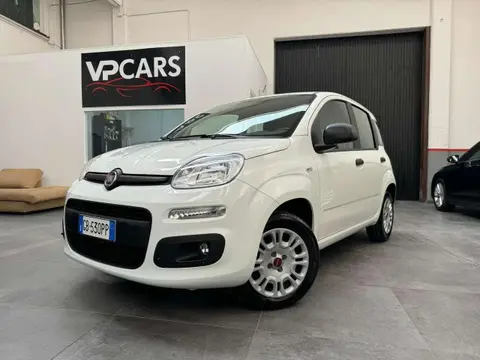 Used FIAT PANDA Petrol 2020 Ad 